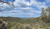 Tour Wandern Argelès-sur-Mer - Mas Cristina: Par les trois mas - Photo 11