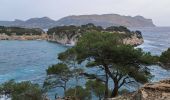 Trail Walking Cassis - Cassis  port miou, morgiou   - Photo 9