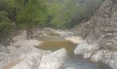 Trail Walking Saint-Gervais-sur-Mare - boucle COURS LES BANISSOUS - Photo 5