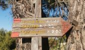 Trail Walking Bordighera - bordighera - Photo 4
