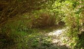 Trail Walking Saint-André - Boucle de Dioré - Photo 2