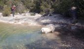 Tour Wandern Navacelles - CAL LES AIGUIERES  - Photo 20