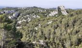 Excursión Senderismo Les Baux-de-Provence - autour des baux - Photo 14