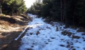 Trail Walking Les Estables - Tour du mont Alambre - Photo 12
