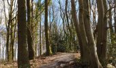 Trail Walking Écaussinnes - Ecaussinnes et le Bois de la Houssiere - Photo 11