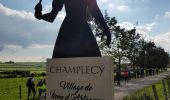 Tour Wandern Champlecy - champlecy - Photo 1