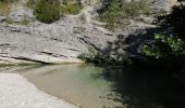 Trail Walking Malaucène - Rand'eau gorges du toulourenc - Photo 12