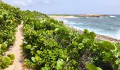 Tour Wandern Saint-François - Guadeloupe - Pointe des Châteaux (2024) - Photo 16