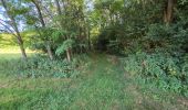 Percorso Marcia Cerelles - Cerelles - Bois de Lignière - Photo 19
