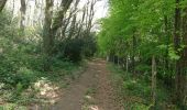 Percorso Marcia Lourdes - LOURDES tour Du lac de Lourdes le vrai  - Photo 2