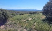 Tour Wandern Aix-en-Provence - sentier Badaire plateau de l'Arbois - Photo 7