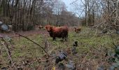 Tour Wandern Aywaille - Degné - Photo 3