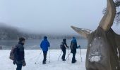 Randonnée Raquettes à neige Besse-et-Saint-Anastaise - Lac pavin pealat  - Photo 10