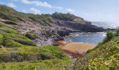 Excursión Senderismo La Trinité - Presqu'île de la caravelle  - Photo 9