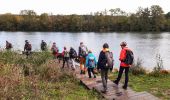 Excursión A pie Soisy-sur-Seine - Boucle Soisy / Seine / Sénart  - Photo 11