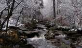 Tour Wandern Jalhay - Solwaster-Statte-Hoegne - Photo 2