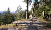 Tocht Mountainbike Saint-Dié-des-Vosges - vtt la voivre La Bure 29-03-19 - Photo 4