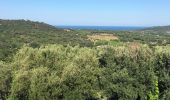 Percorso Bici da strada Gassin - Saint-Tropez - Ramatuelle - Photo 2