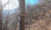 Percorso A piedi Morterone - Sentiero 17: Forcella di Olino - Rifugio Azzoni - Photo 2