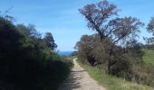 Tour Wandern Collioure - autour de Collioure a travers les vignes - Photo 12