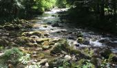 Trail Walking Orgeix - L’ Oriege - Photo 3