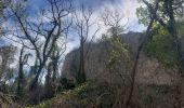 Trail Walking Callian - Callian ,le vallon de la Camiole - Photo 2