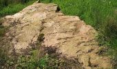 Percorso A piedi Potigny - Circuit de la Brèche au Diable - Photo 6