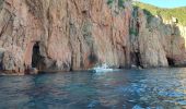 Trail Motorboat Ota - Calanques par la mer Scandola Girolata - Photo 19