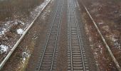 Tour Zu Fuß Unbekannt - Dresdner Heide, Schere - Photo 2