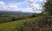 Trail Walking Boussières - Boussières crête  - Photo 7