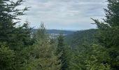 Trail Walking Domfaing - Les hauts de Domfaing - Photo 4