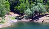 Tocht Stappen La Môle - Barrage de la verne - Sommet de l'Argentière par les crêtes des Pradets - Retour par le bord du lac (V1) - Photo 7