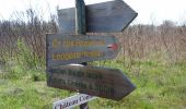 Trail On foot Bommes - Les Brumes d'Or : circuit départemental - Photo 3