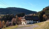 Tour Zu Fuß Todtmoos - Lebküchlerweg Todtmoos - Photo 9