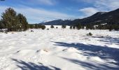 Tour Schneeschuhwandern Matemale - Tour lac mattemale neige  - Photo 2