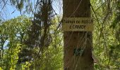 Percorso Marcia Ormoy-le-Davien - 040522 - Boucle Ormoy le Davien - Moulin de Wallu... - Photo 11