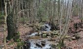 Excursión Senderismo Spa - A la découverte de Spa et de son lac 🥾 - Photo 8