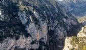 Tour Wandern La Palud-sur-Verdon - Verdon - Sentier du Bastidon A/R (partiel) - Photo 2