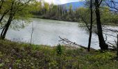Trail Walking Motz - MOTZ SERRIERES: BORDS DU RHONE - Photo 3