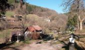 Tour Zu Fuß Mudau - Rundwanderweg Reisenbacher Grund 3 - Photo 7