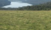 Trail Walking Les Angles - Refuge des Camporells  - Photo 1