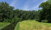 Trail On foot Biblis - Rundwanderweg Biblis Steiner Wald 1: Züllenstein-Weg - Photo 1