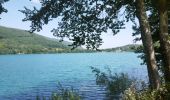 Tocht Stappen Laffrey - tour du lac de la laffrey  - Photo 1