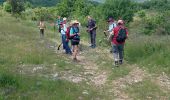 Trail Walking Saint-Maurice-Navacelles - St-Maurice, les Rajols - Photo 3