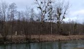 Tocht Stappen Luik - randonnée BS entre l île rousseau et tilff  - Photo 1