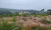 Trail Walking Vielsalm - Vielsalm 270625 - Photo 13