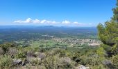 Tocht Stappen Aups - reco Aups montagne espiguieres  - Photo 10