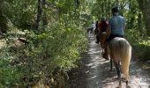 Trail Horseback riding Lauris - Provence 2025 J1 - Photo 11