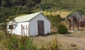 Tour Wandern La Possession - Boucle Marla - La Nouvelle depuis le col des Bœufs - Photo 8