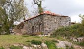 Percorso A piedi Soalhães - Pedras, Moinhos e Aromas de Santiago - Photo 8